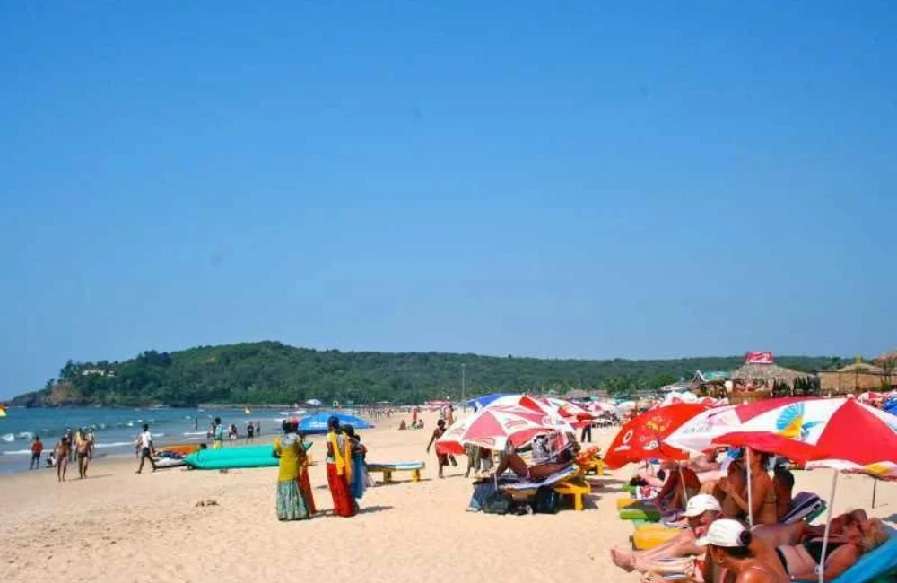 appu tour & travels